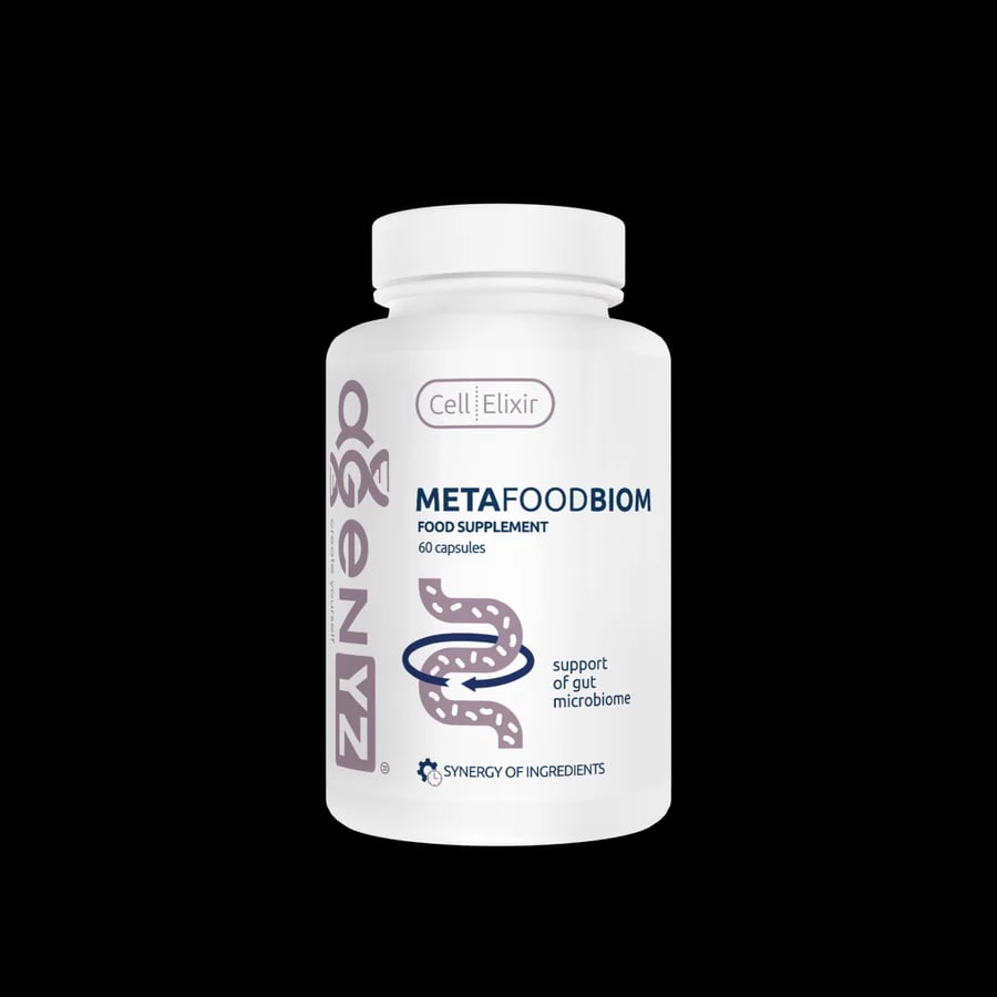 MetaFoodBiome Docentes