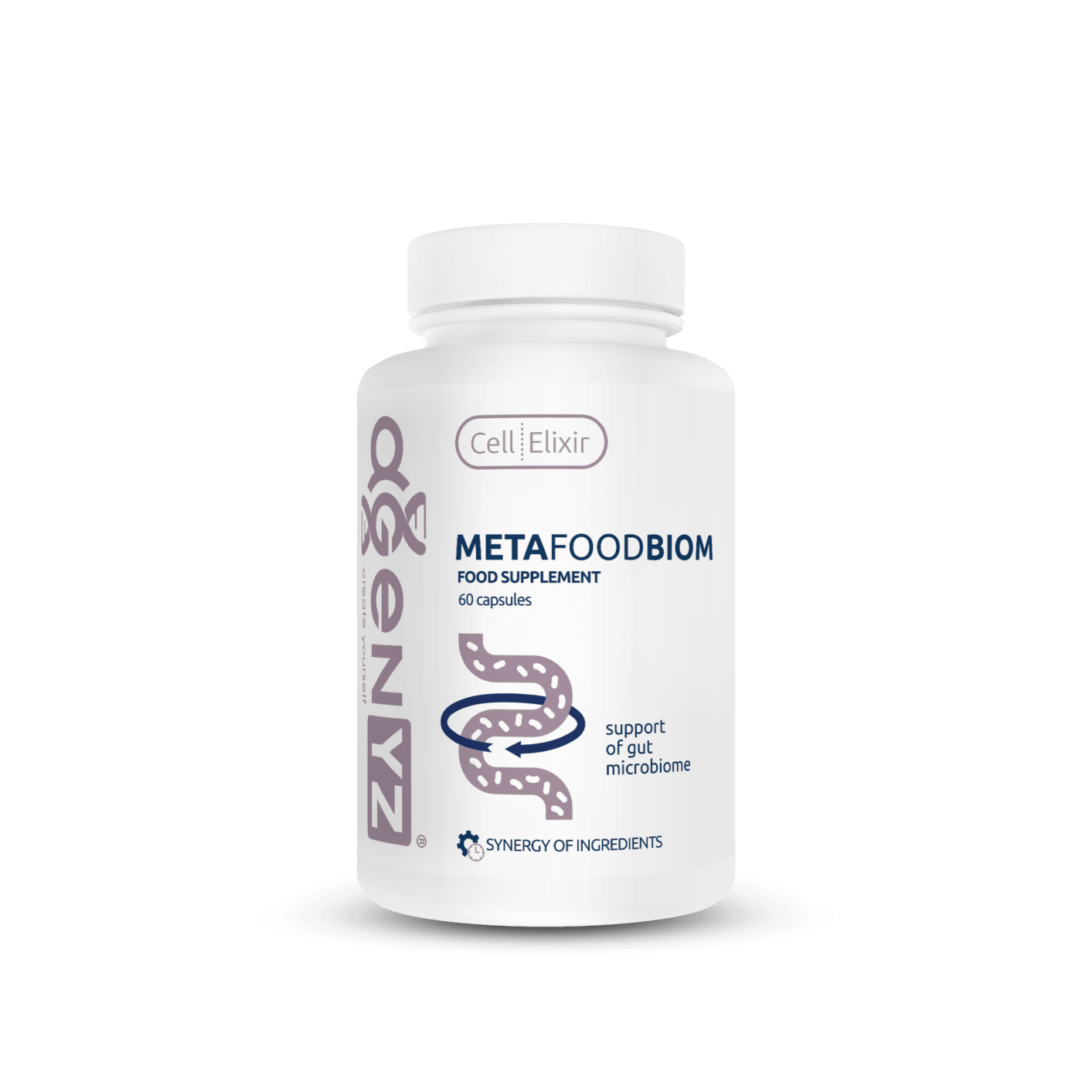 MetaFoodBiome - imagen 1